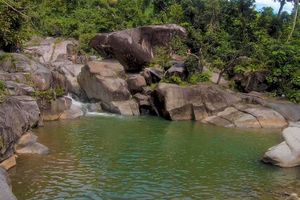Actividad - Excursión al Charco El Hippie
