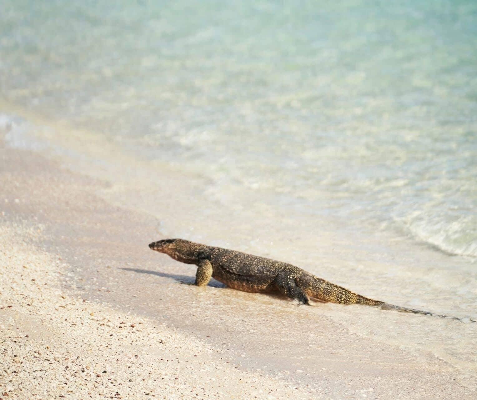 Vista Exterior Cabang Campsite