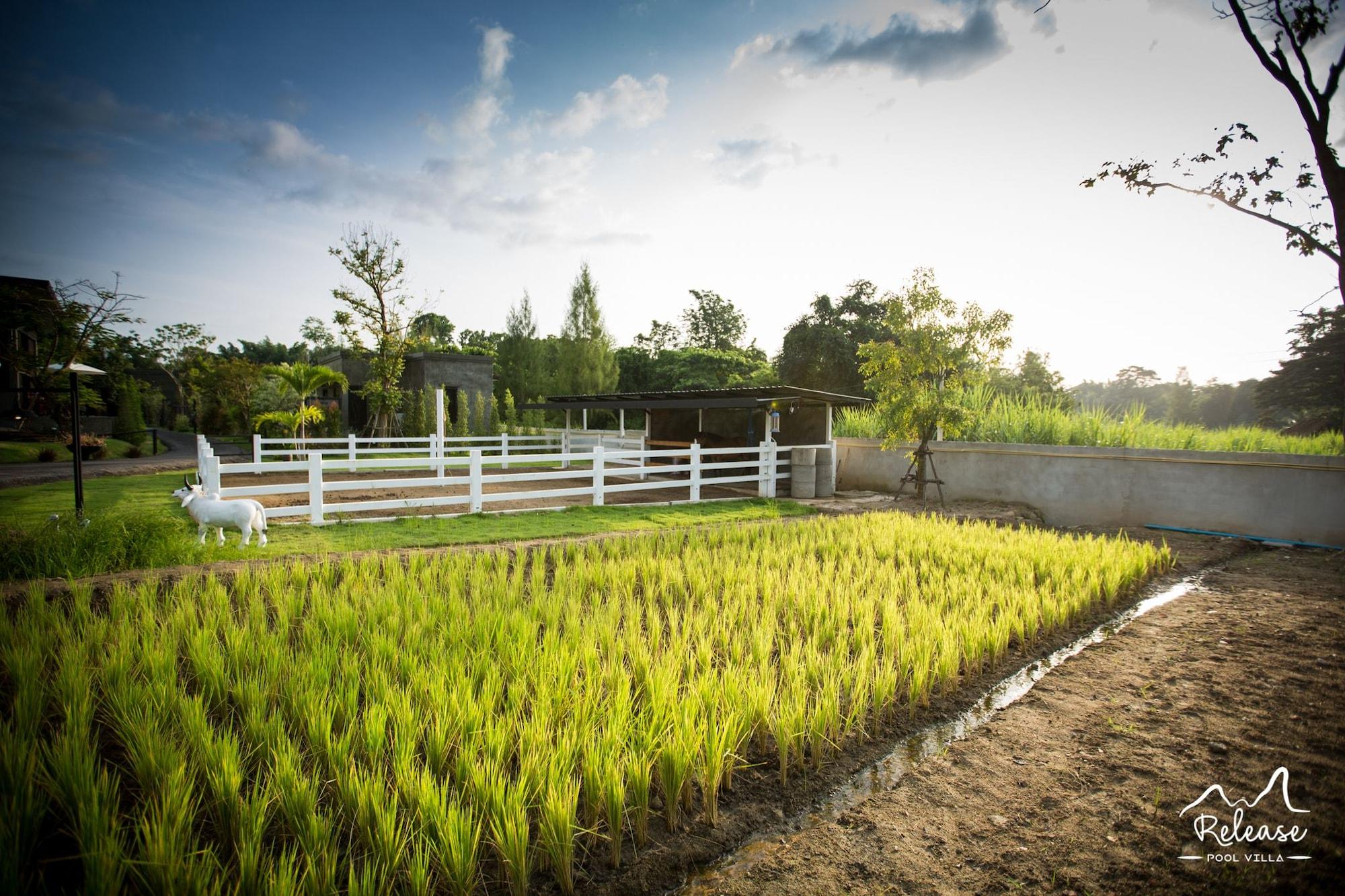 Vista Exterior Release Pool Villa Resort