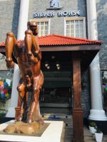 Alojamiento - Hotel Silver Horse Dambulla