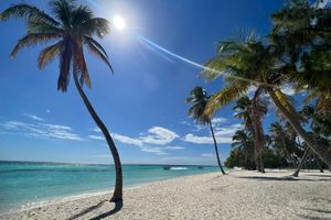 Actividad - Saona VIP - Full Day Tour