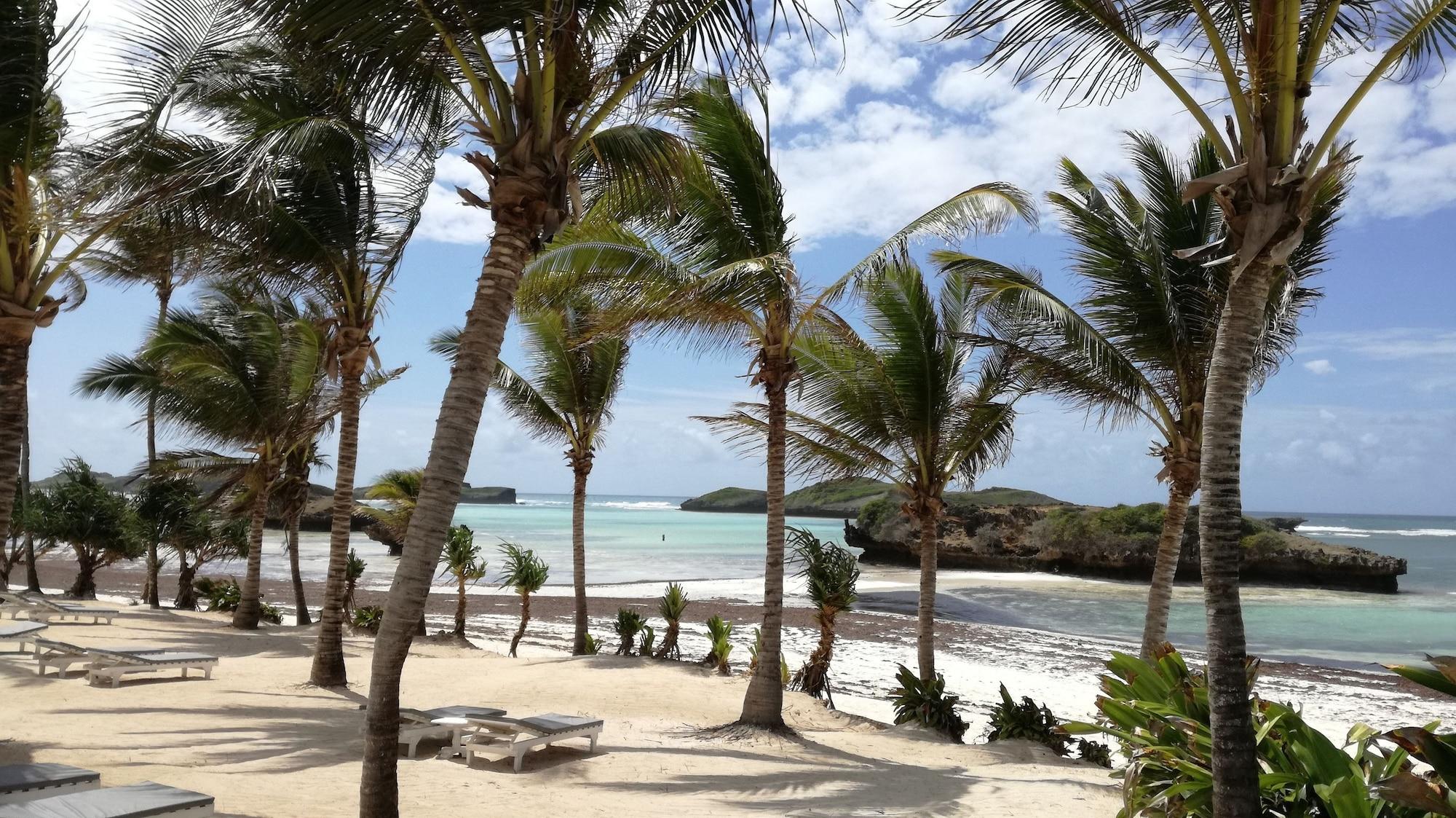 Playa Sun Palm Beach Resort