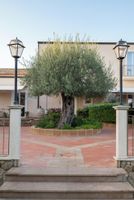 Alojamiento - Agriturismo Badiula