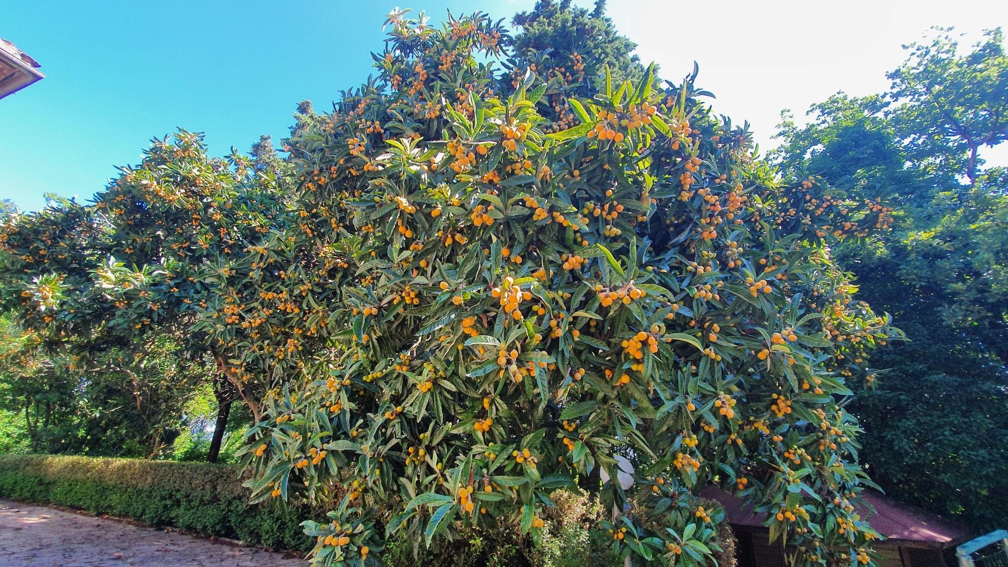 Vista Exterior Villa Sargiano