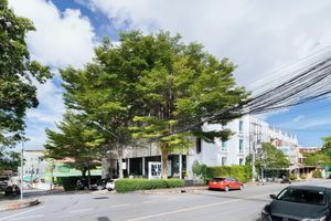 Alojamiento - Blu Monkey Boutique Samkong Phuket