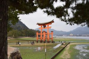 Actividad - Tour de 1 día en autobús por Hiroshima y Miyajima desde Kioto