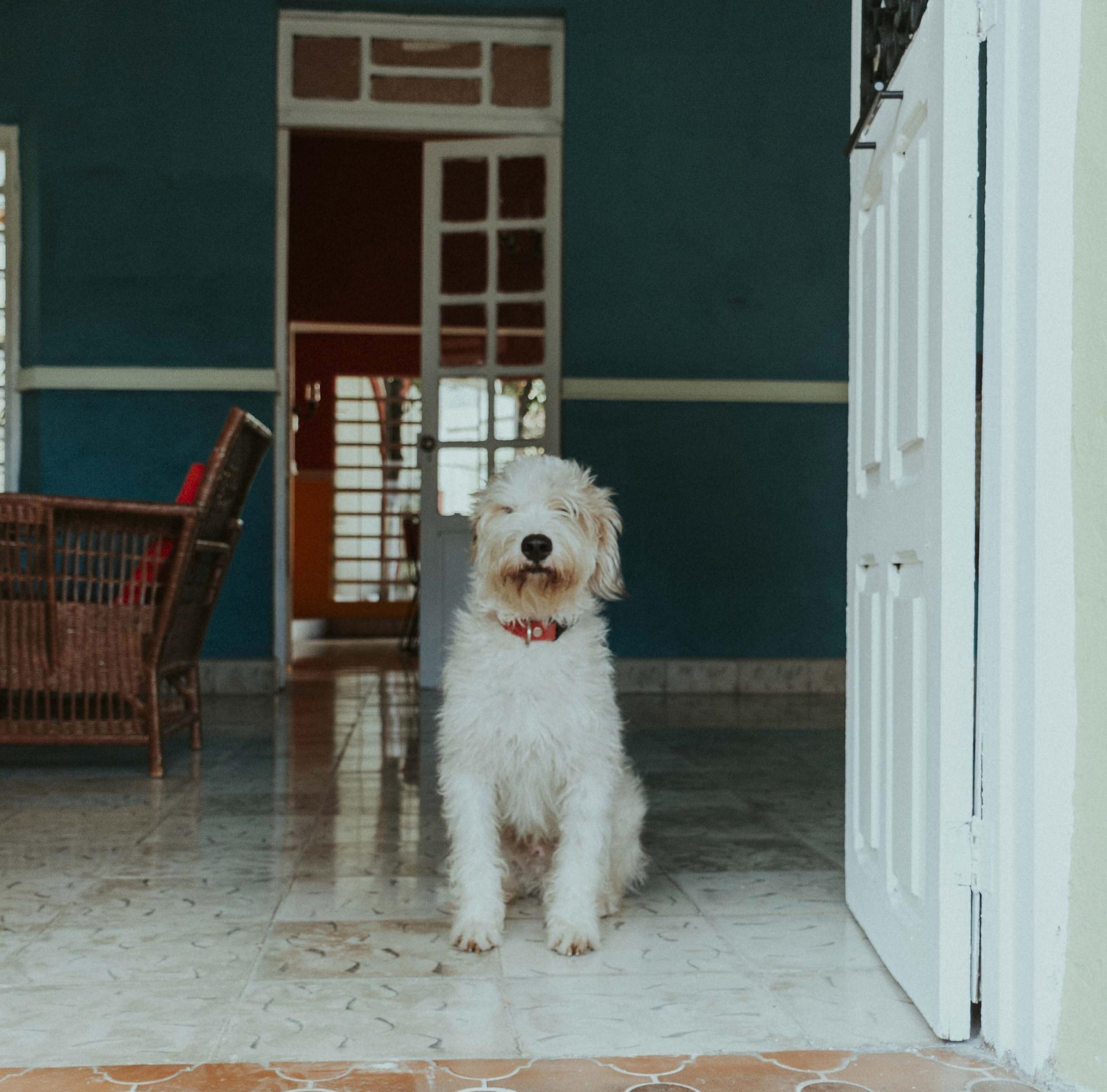 Vista Lobby Hospedaje Casa Lool Beh Merida