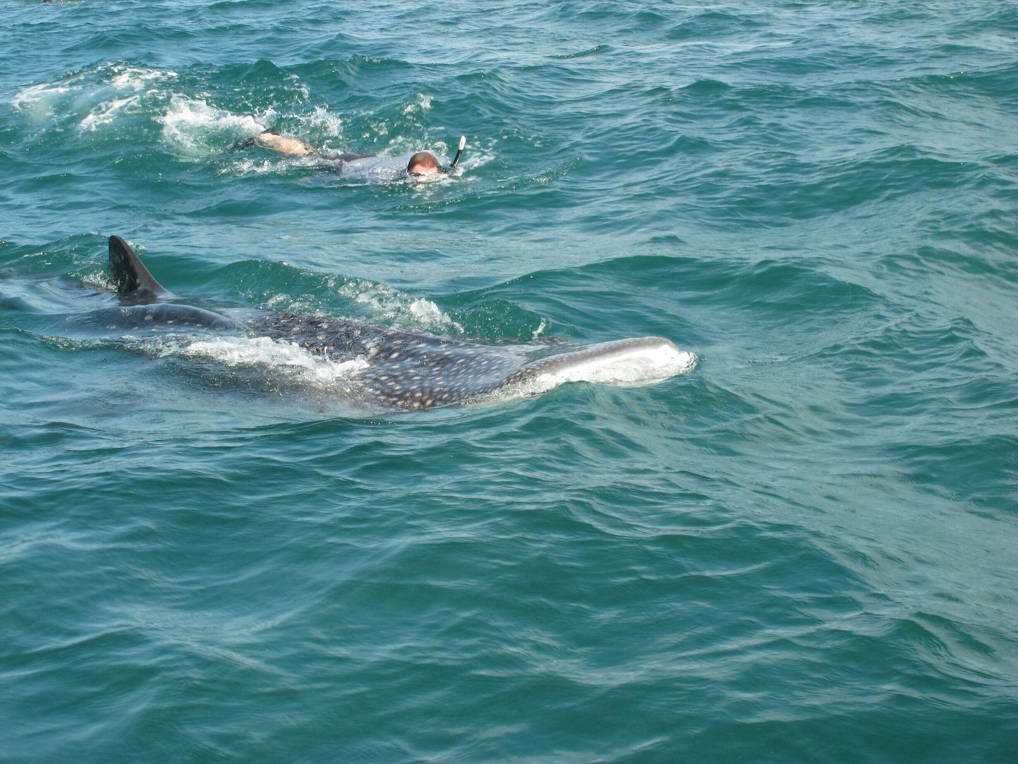 Instalaciones Recreativas Kitu Kiblu