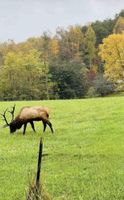 Alquiler Vacacional - 2.5 miles from casino.Mtn views.Cherokee Reservations. Now with Wi-Fi.