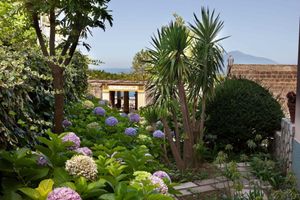 Alojamiento - Hotel Regina Sorrento