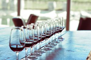 Actividad - Bodegas y olivas