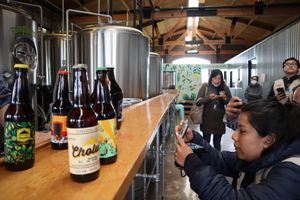 Actividad - Tour Cerveza Artesanal en Cholula Pueblo Mágico