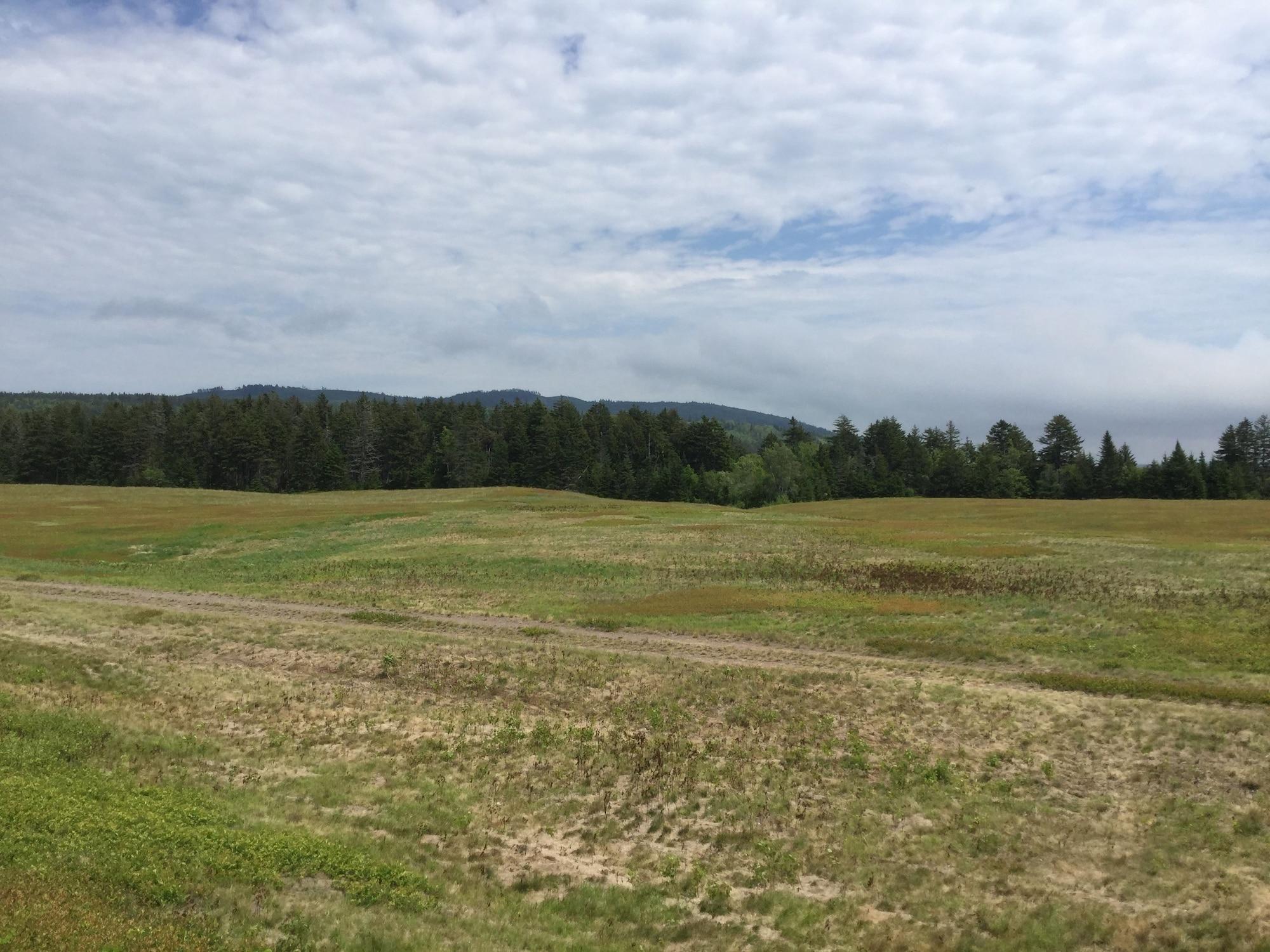 Playa The Sunshine Inn