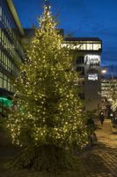 Alojamiento - Best Western Solna Business Park