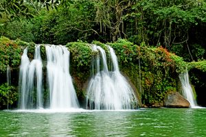 Actividad - Sendero del Parque de la Cascada con uso diurno