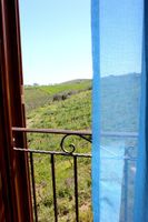 Alquiler Vacacional - Agriturismo La Casa di Bacco