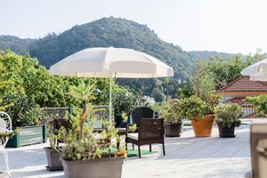 Alojamiento - Hotel Nova Sintra - Adults Only