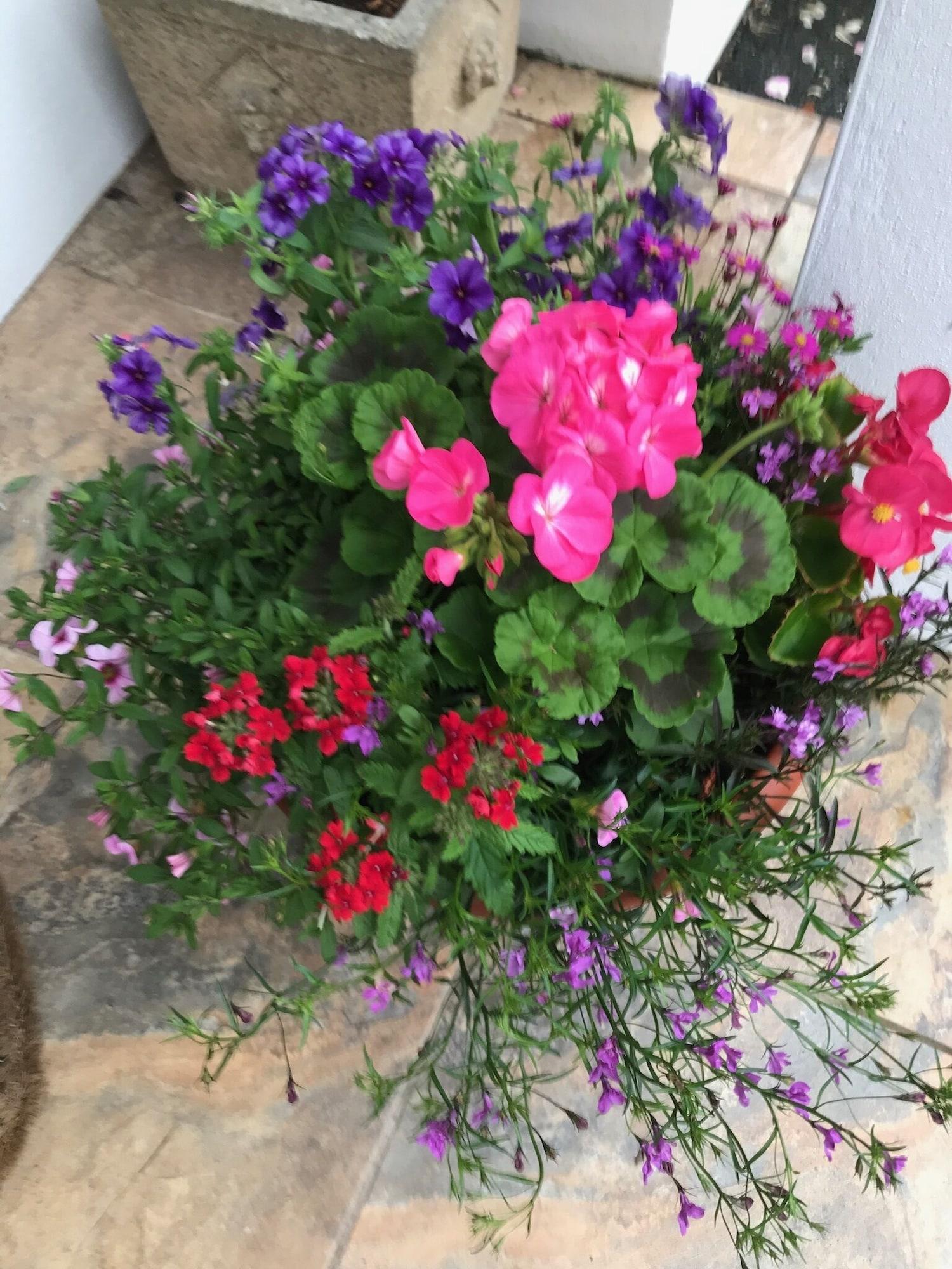 Vista Exterior Gwynarth B&B