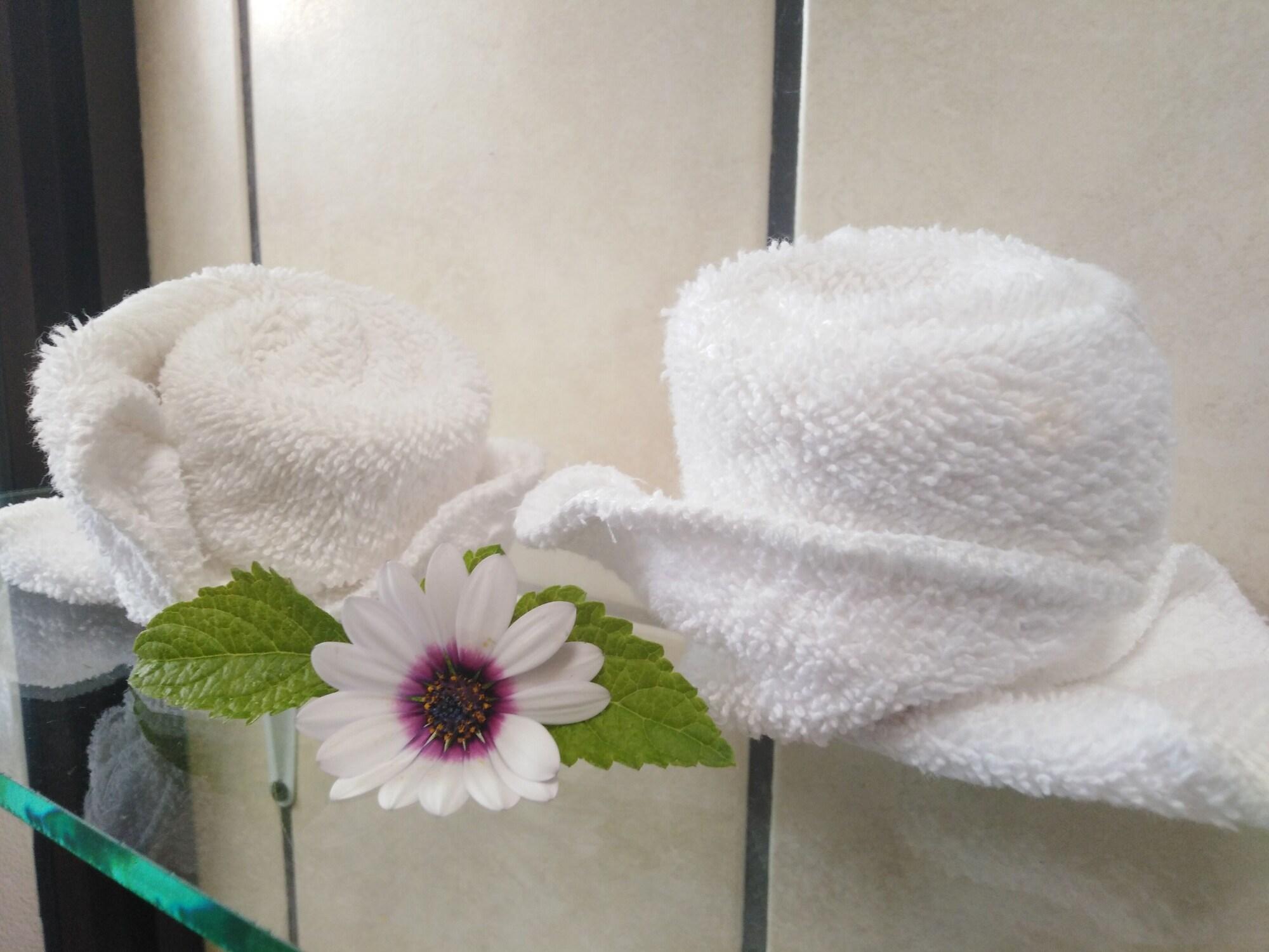 Equipamiento de Habitación Cassidini House