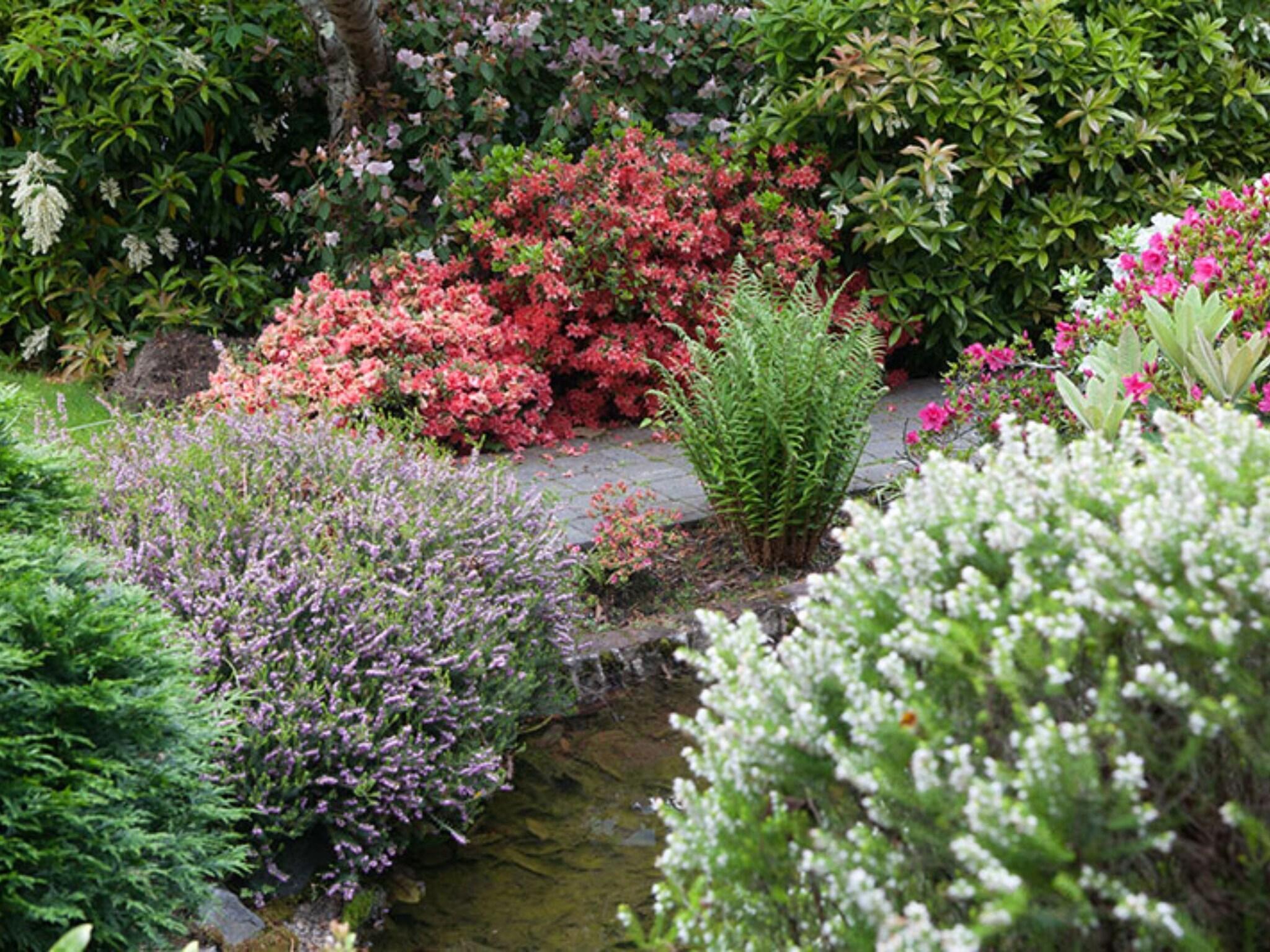 Varios 538 Great King Motel