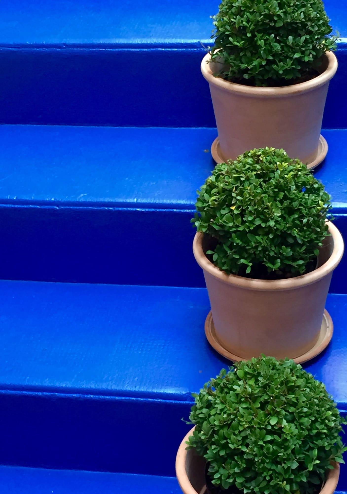 Comodidades del Alojamiento Hôtel Les Bains Douches