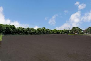 Alojamiento - Exceed Inn