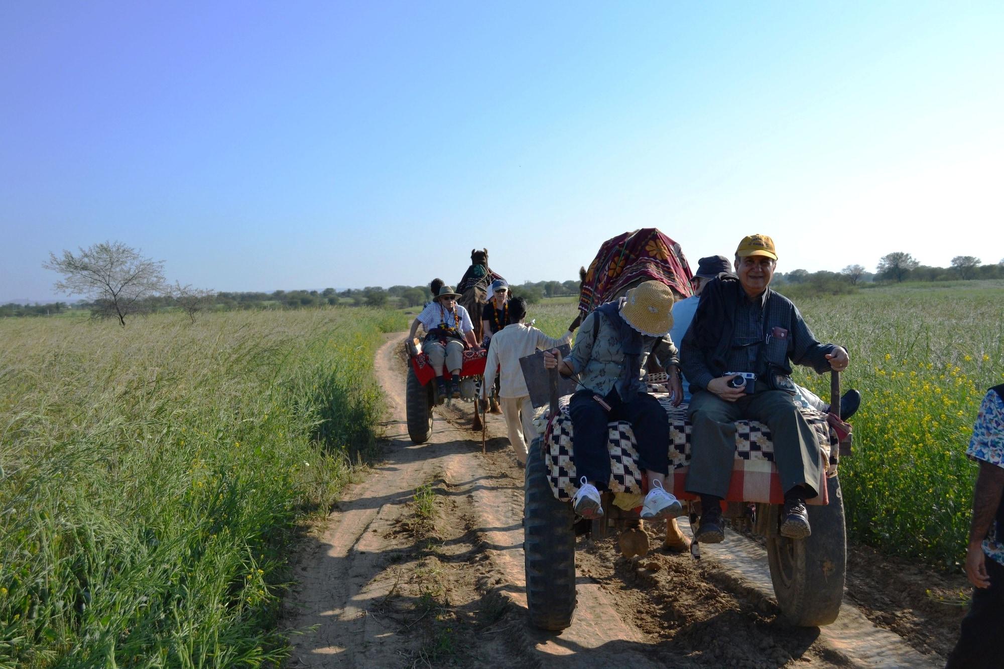Instalaciones Recreativas Umaid Palace- An Organic Retreat