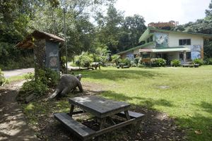 Actividad - Visita guiada a la experiencia local de Monteverde desde Monteverde