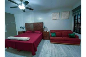 Alquiler Vacacional - The King's Comfort Flowers