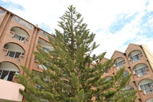 Alojamiento - Hotel Costanera Mar