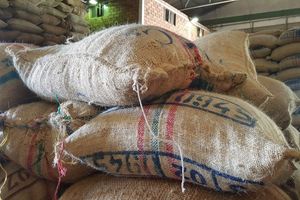 Actividad - Tour de 8 D y 7 N por el Eje Cafetero Todo Incluido