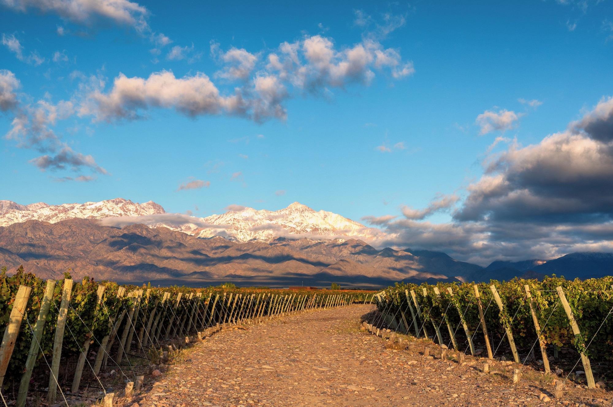 Spa The Vines Resort & Spa