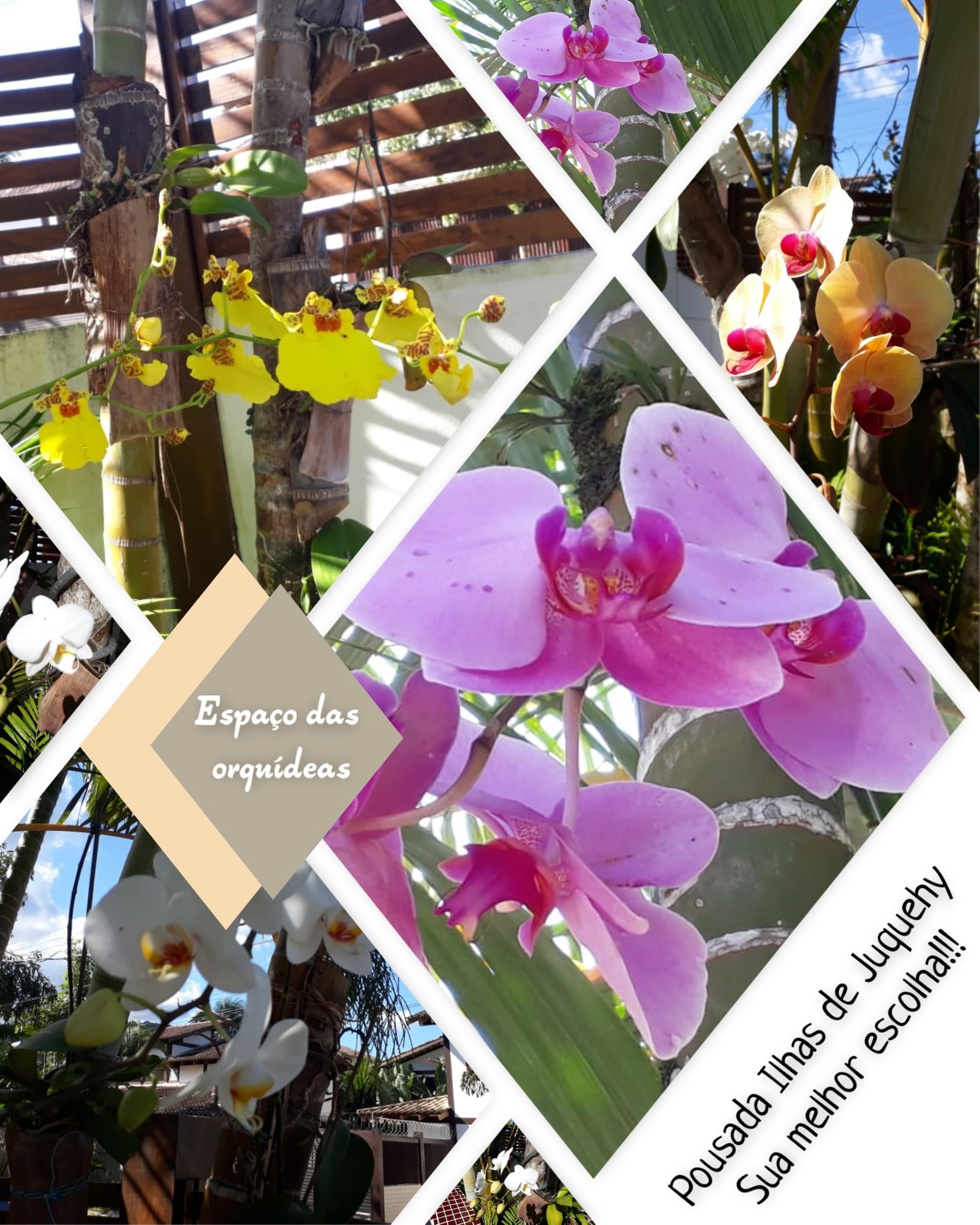 Vista Lobby Pousada Ilhas de Juquehy