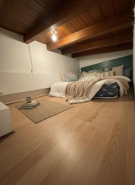 Modern apartment in the city center