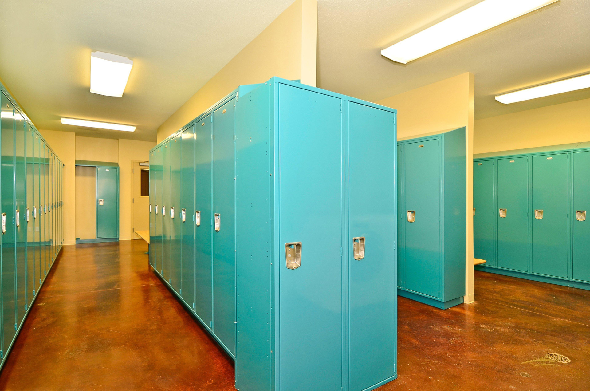 Vista Lobby Holiday Inn Express and Suites Williston