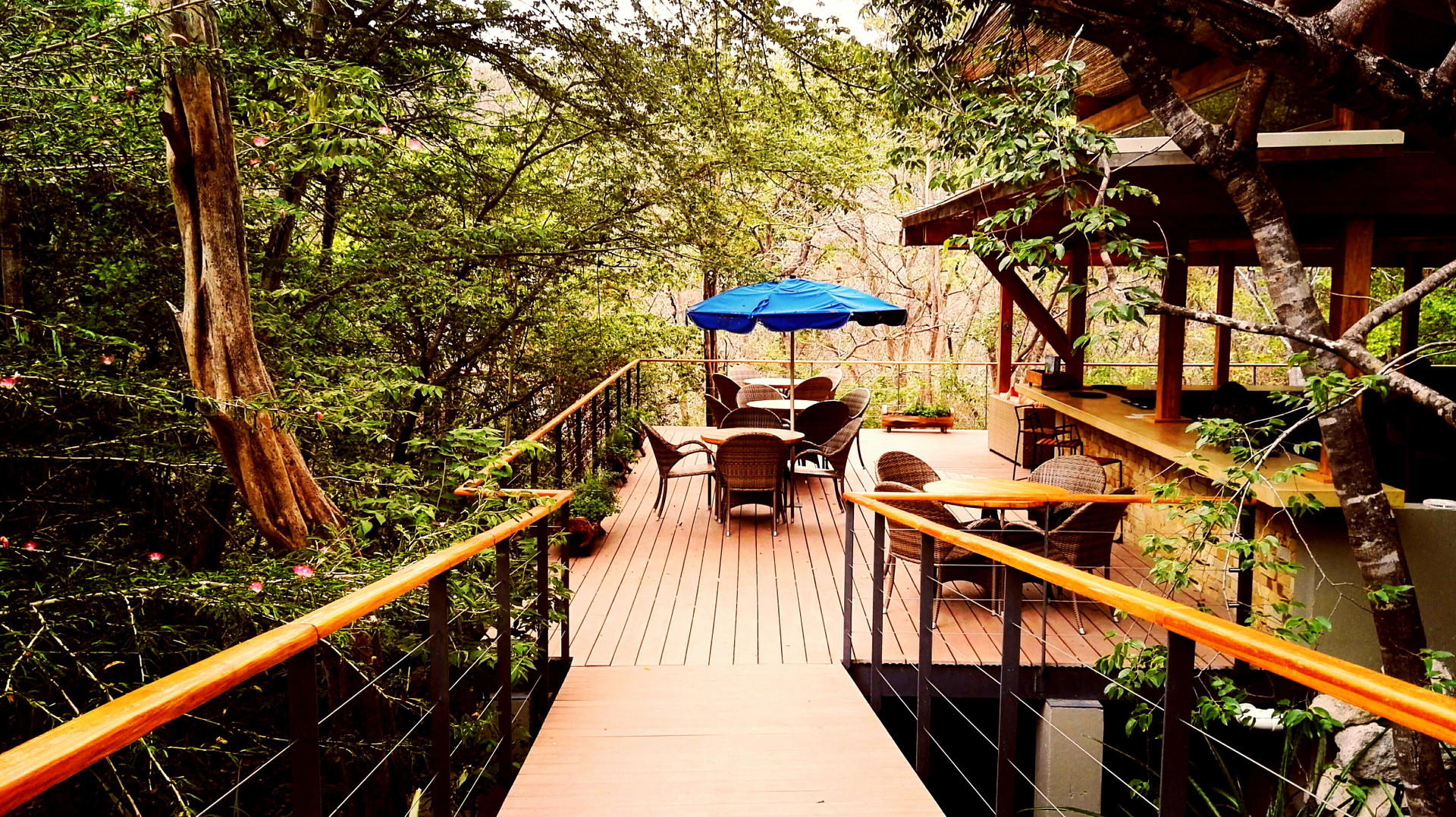 Bar/Salón Rio Perdido Hotel & Thermal River