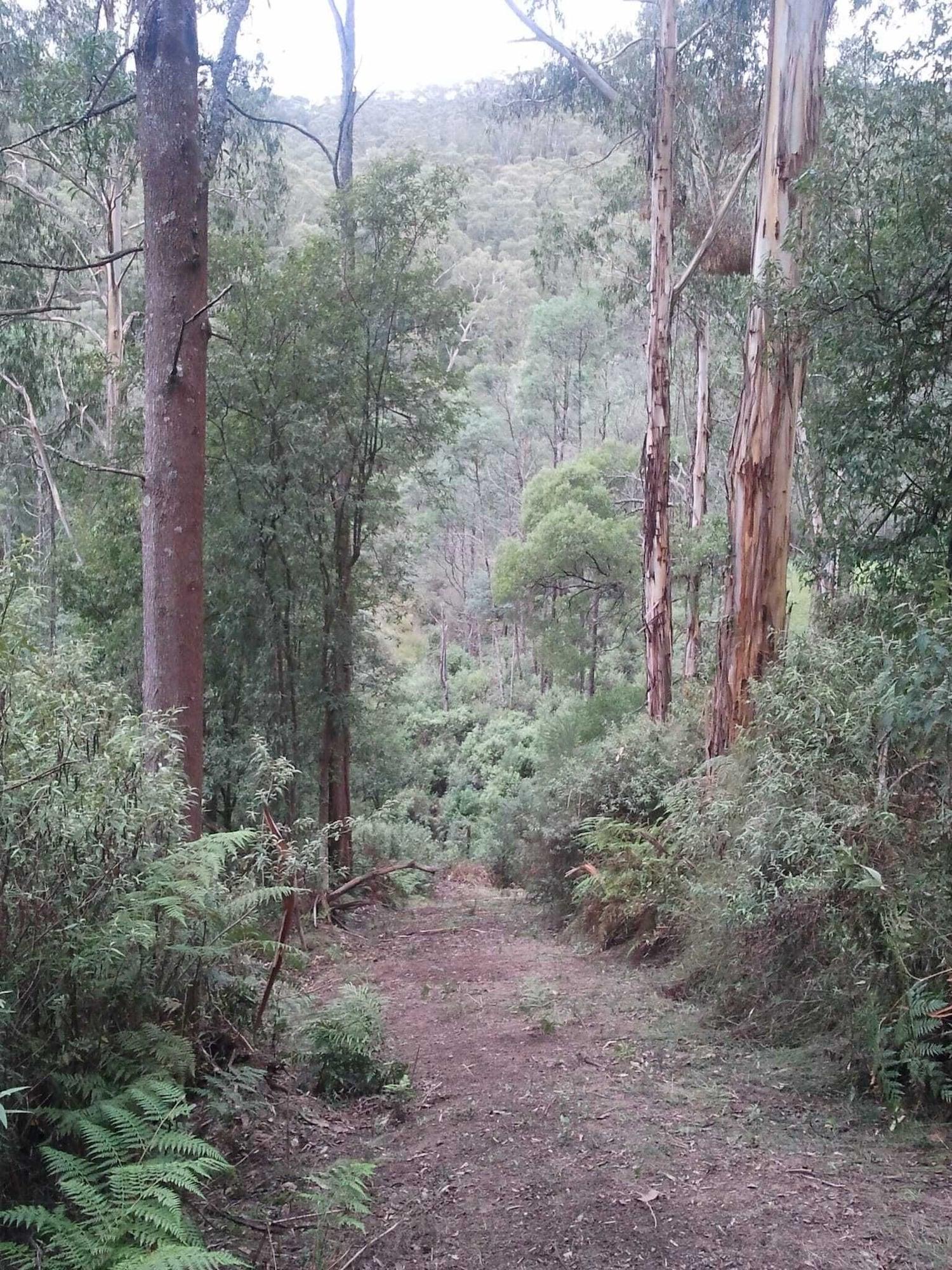 Comodidades del Alojamiento Near and Far Nature Stay