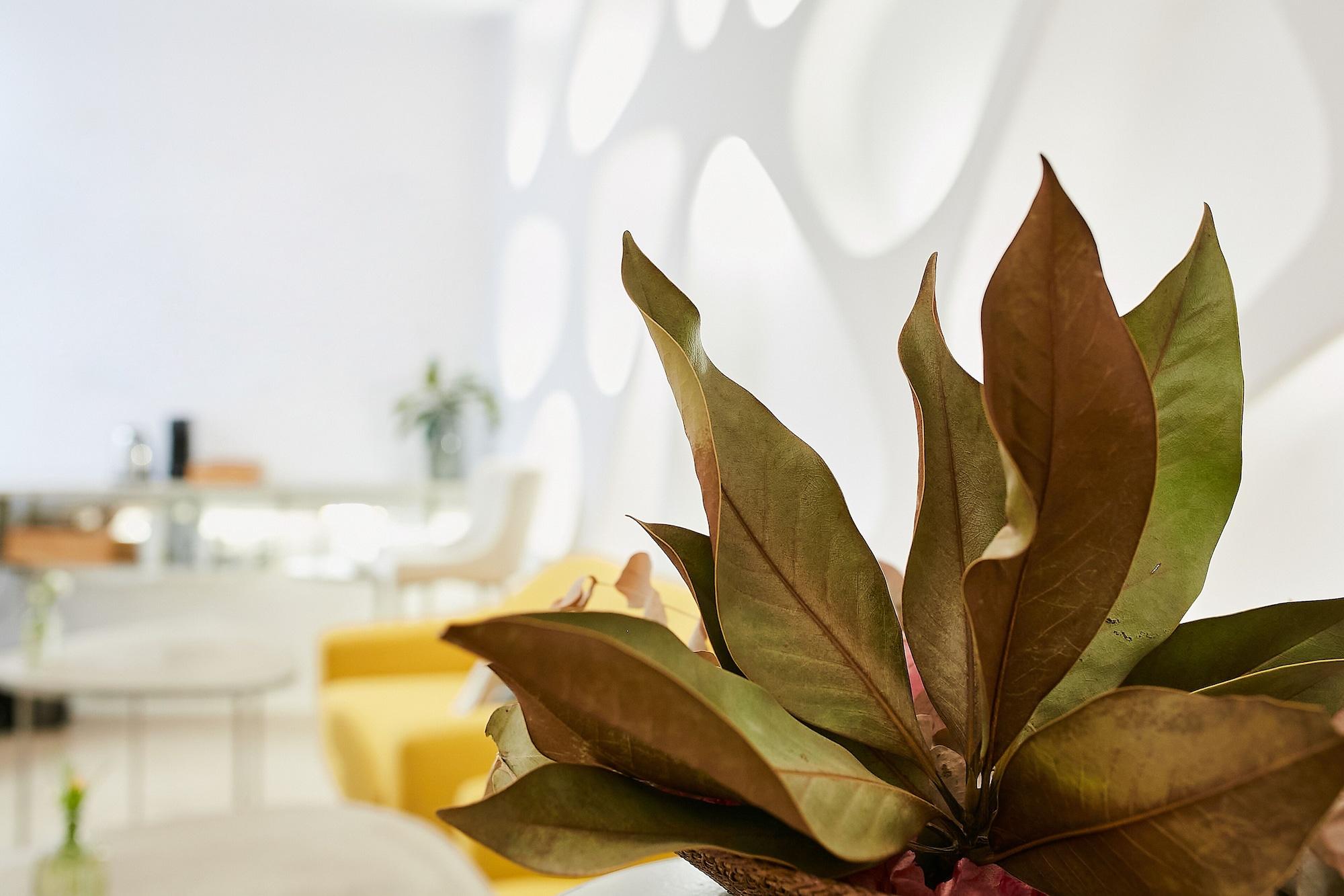 Vista Lobby Hotel Boutique Suite Generis