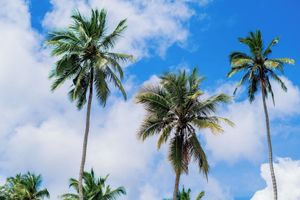 Alojamiento - Waterfall Retreat