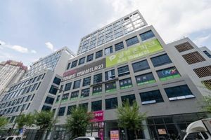 Alojamiento - THE HOUND HOTEL BANDALISLAND 2