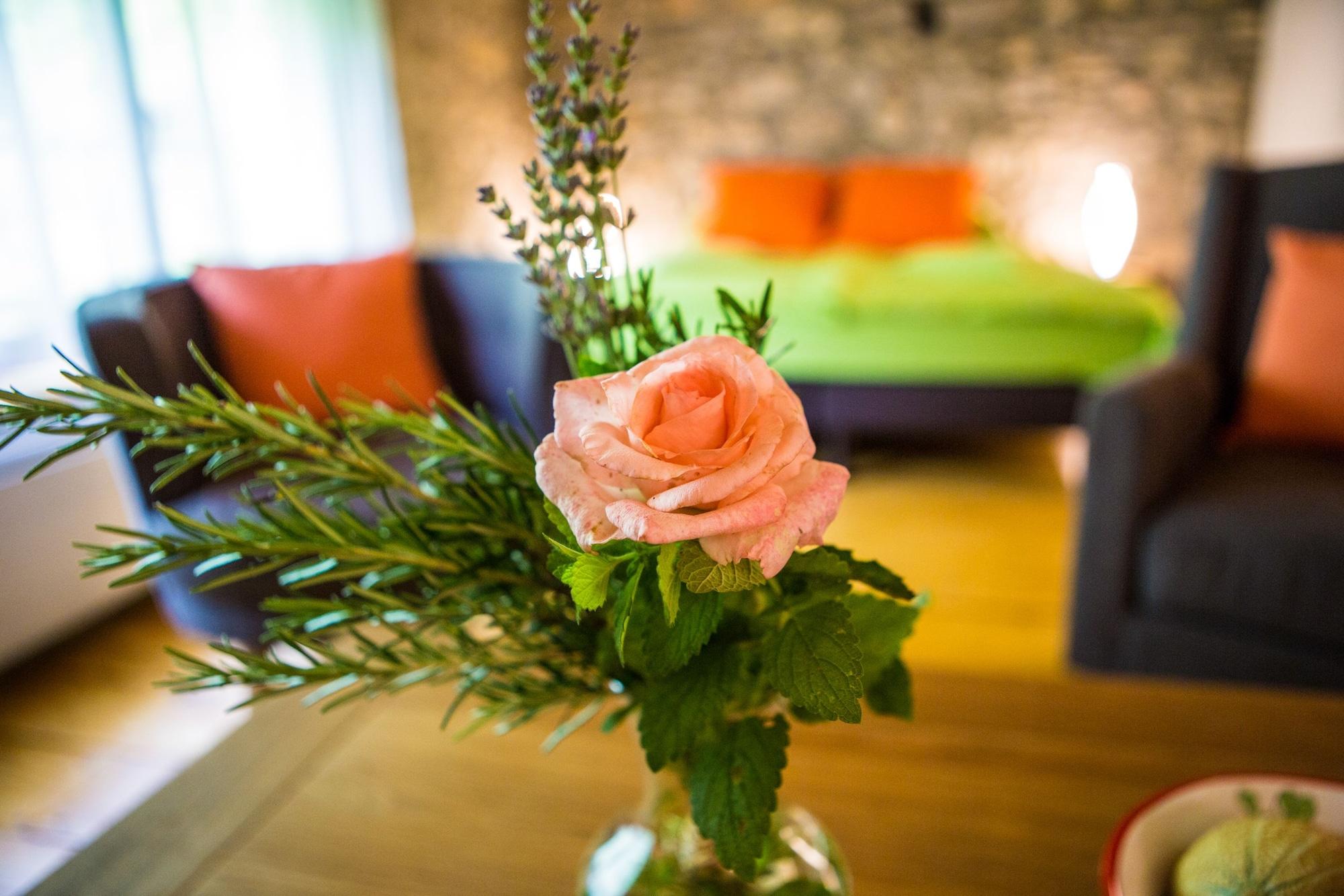 Set de Habitación Moulin d'Entre Les Roches