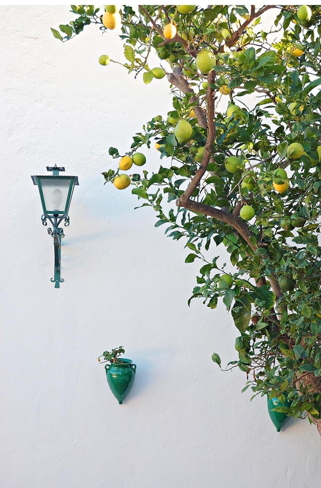 Vista Exterior Hostal La Posada de Conil