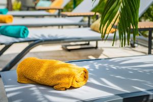 Alojamiento - Casita Palma by Boutique Bonaire Unique Resorts