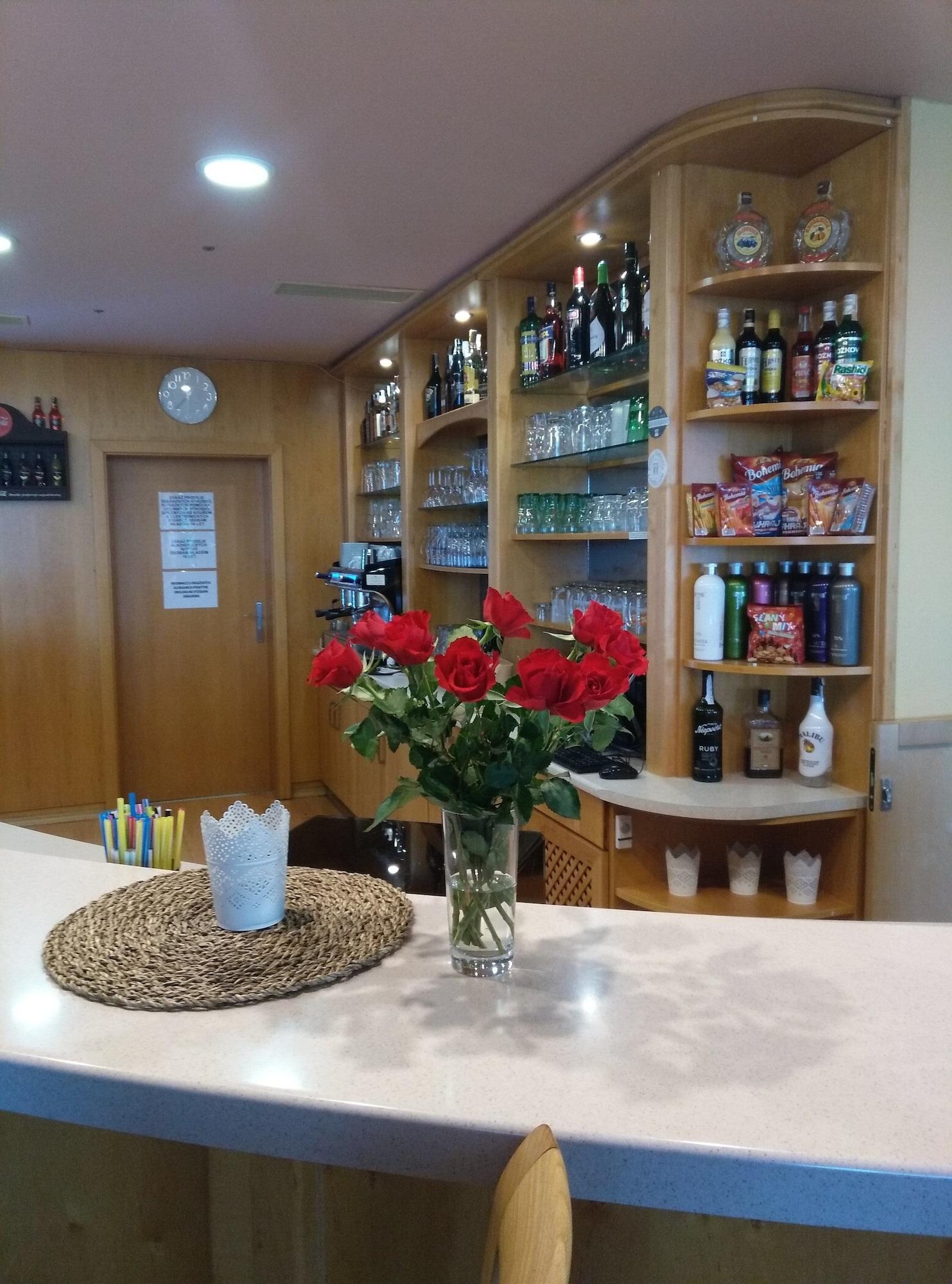 Bar/Salón Hotel Churáňov