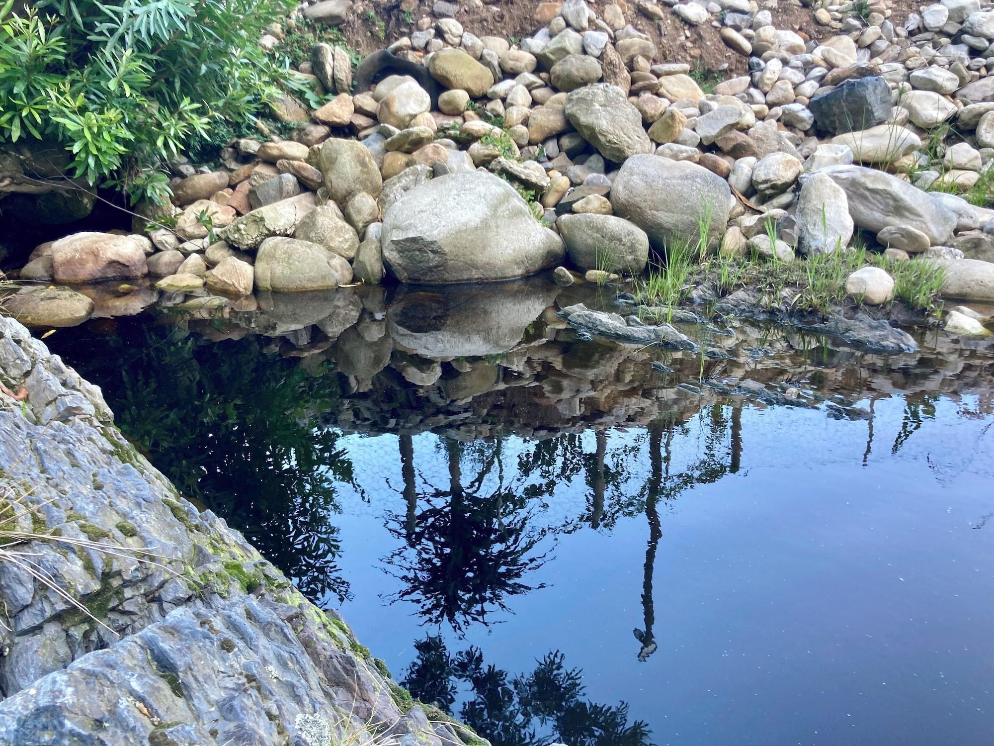 Vista Exterior A Riverbed Guesthouse