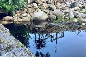 Alojamiento - A Riverbed Guesthouse