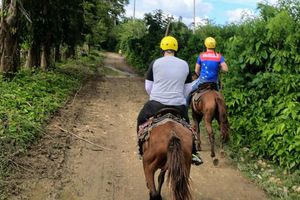 Actividad - Paseo a caballo por Jamao al Norte