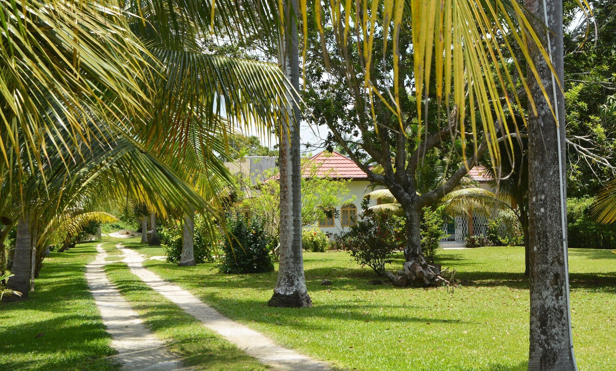 Vista Exterior Cozy Coco