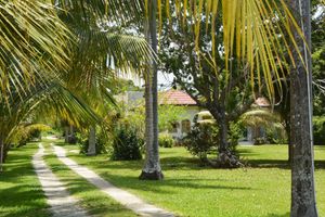 Alojamiento - Cozy Coco