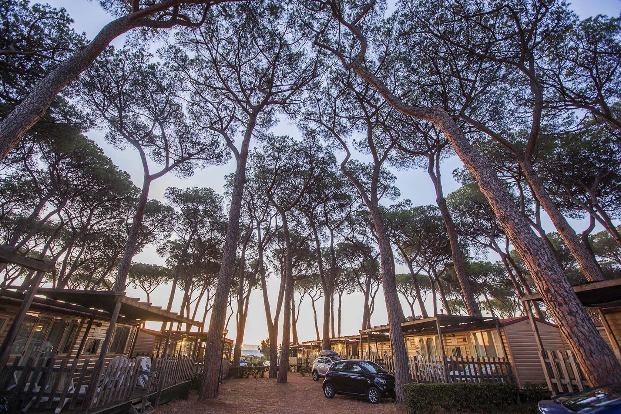 Vista Exterior Camping Village Fabulous